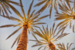 get a california real estate license