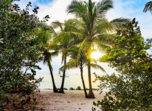 get a florida real estate license