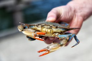 get a maryland real estate license