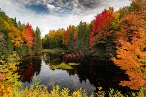 get a Michigan real estate license
