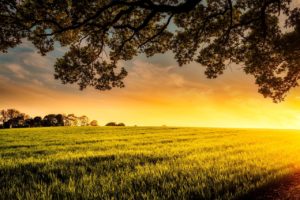 get a real estate license in Iowa