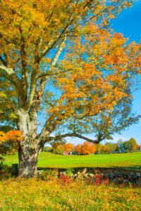 get a massachusetts real estate license