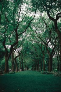 get a new jersey real estate license